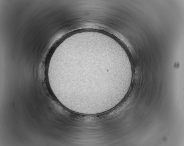 X0000102281067200808221259