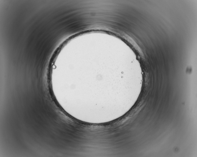 X0000102281068200808221259