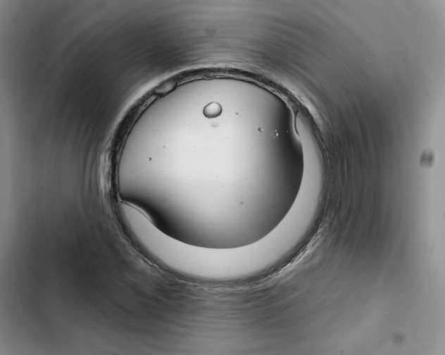 X0000102281069200808221259