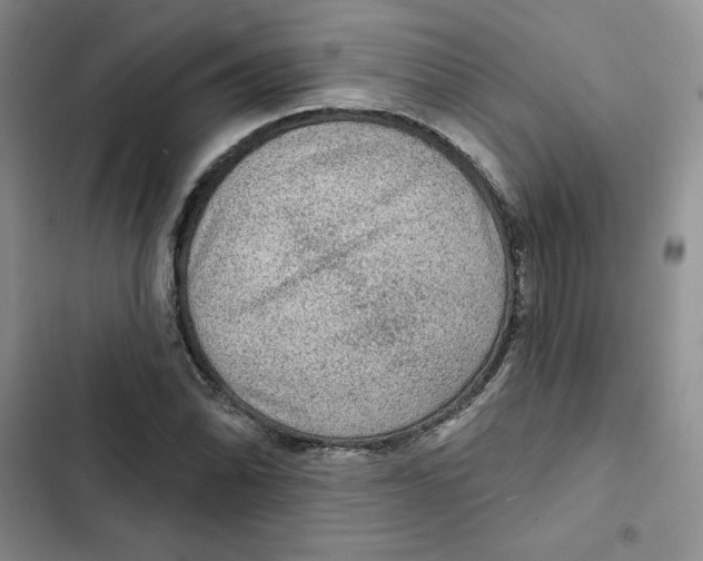 X0000102281070200808221258