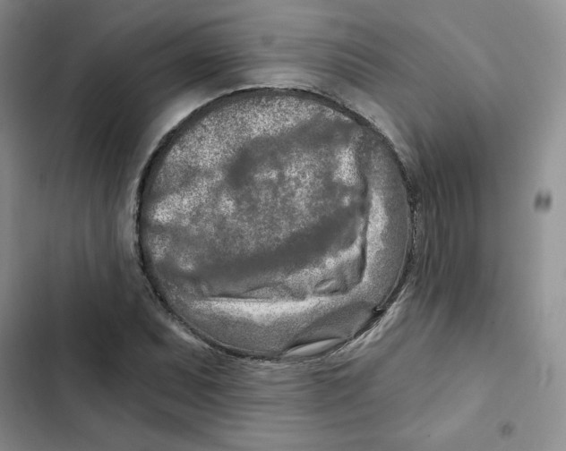 X0000102281071200808221258