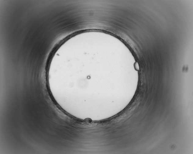 X0000102281072200808221258