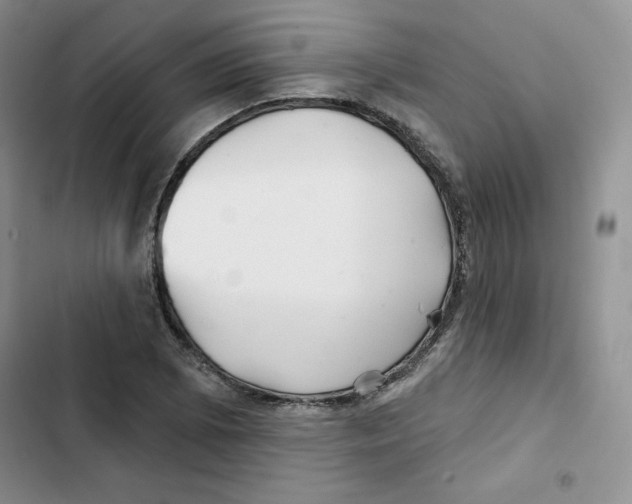 X0000102281073200808221258