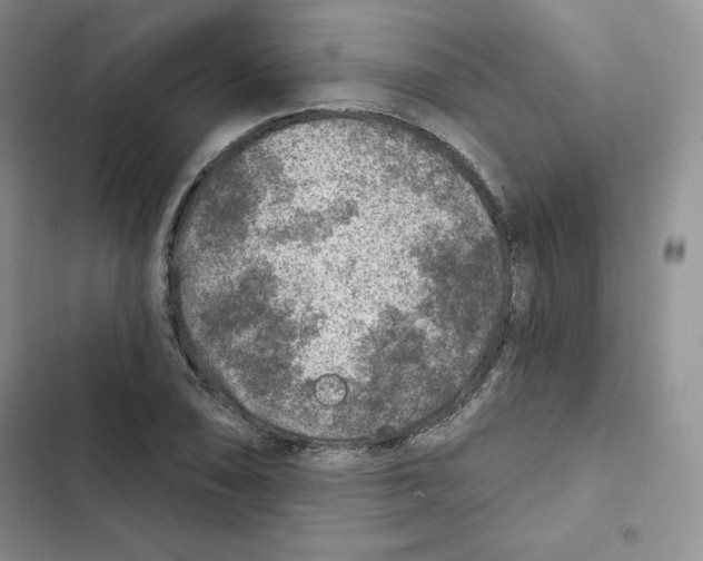 X0000102281074200808221258