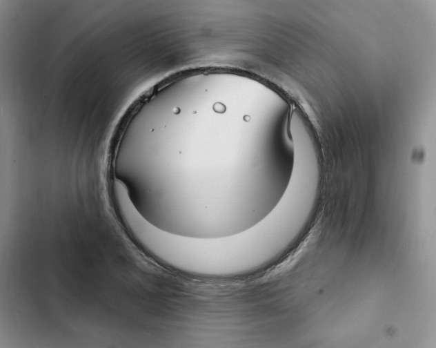 X0000102281077200808221258