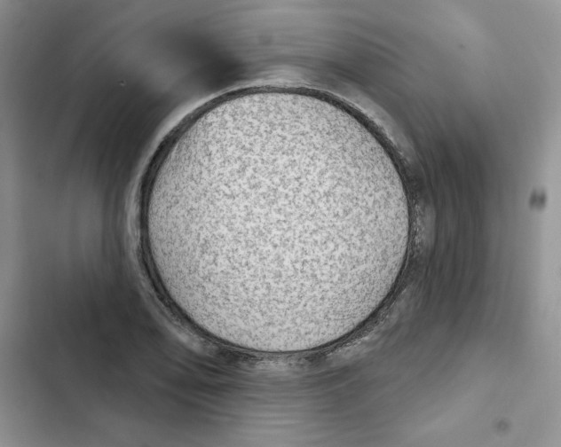X0000102281078200808221258
