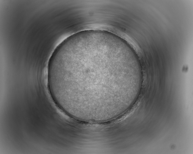 X0000102281079200808221258
