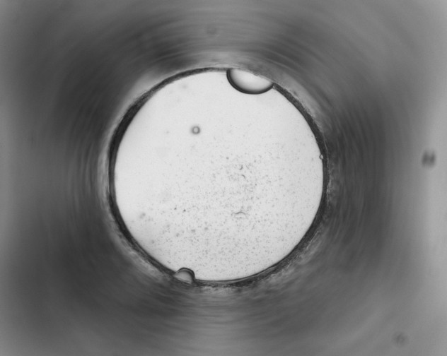 X0000102281080200808221258