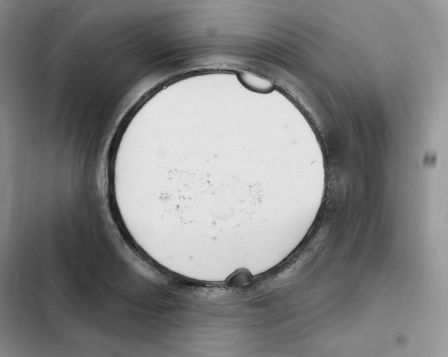 X0000102281082200808221258