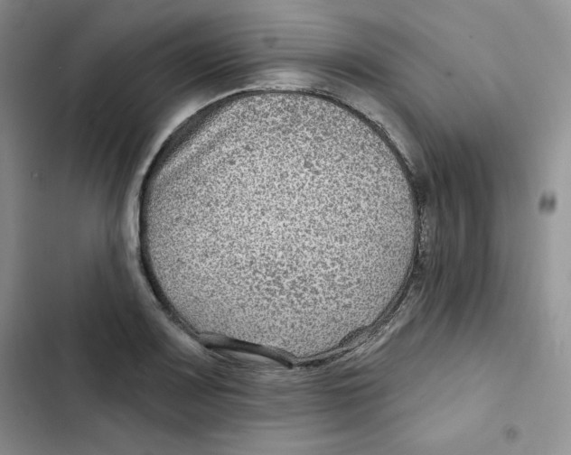 X0000102281083200808221258