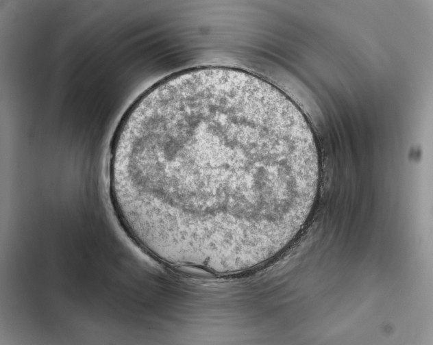 X0000102281084200808221258