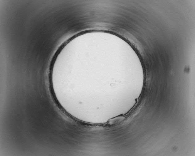 X0000102281085200808221258
