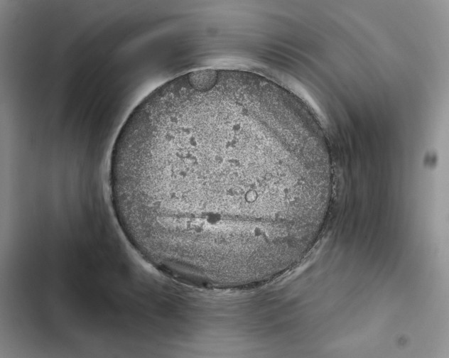 X0000102281087200808221258