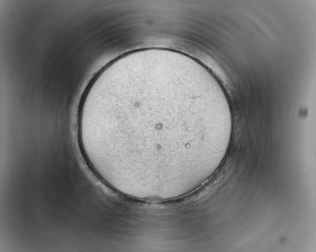 X0000102281088200808221258