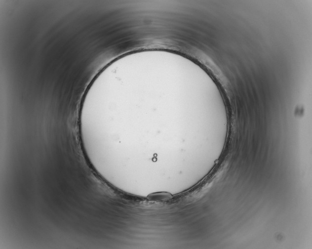 X0000102281089200808221258