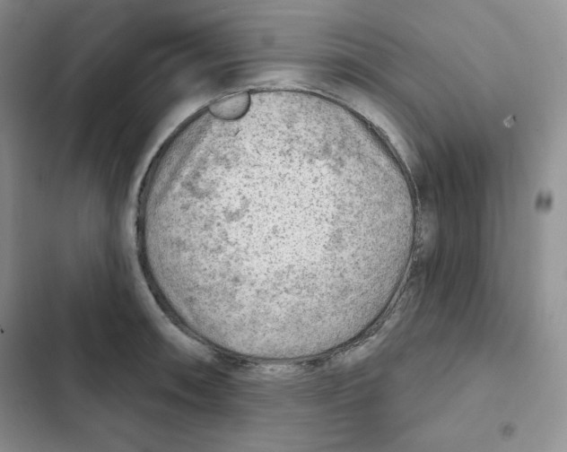 X0000102281090200808221258