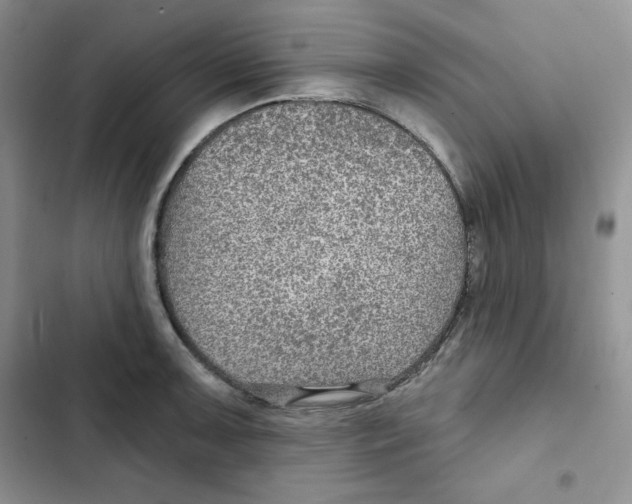 X0000102281091200808221258