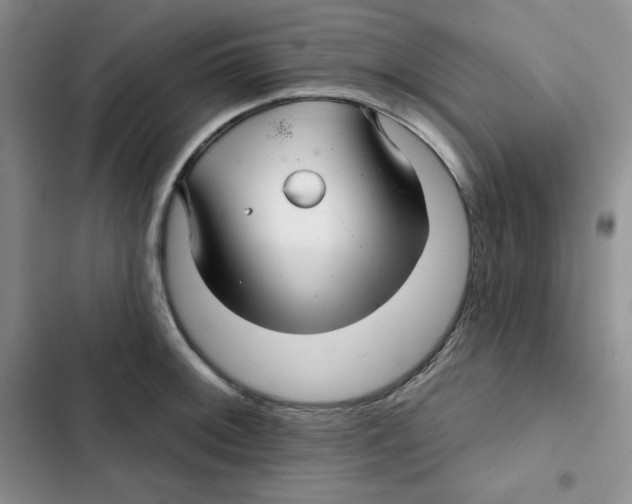 X0000102281092200808221258