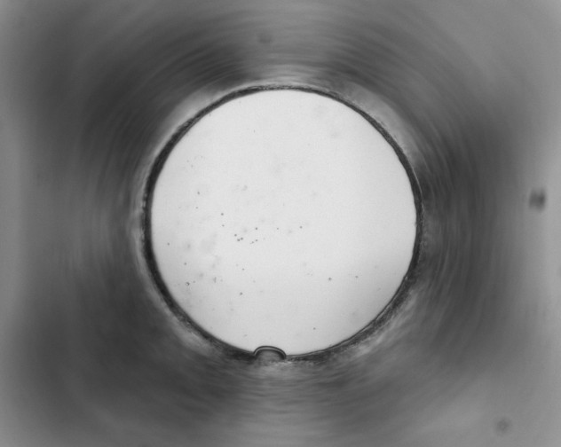 X0000102281093200808221258