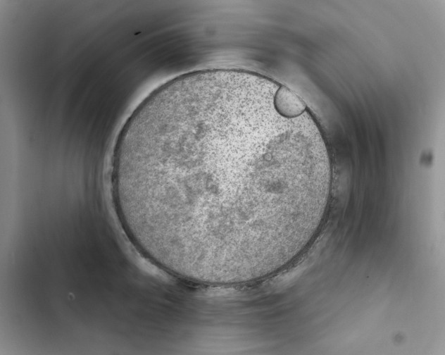 X0000102281094200808221258
