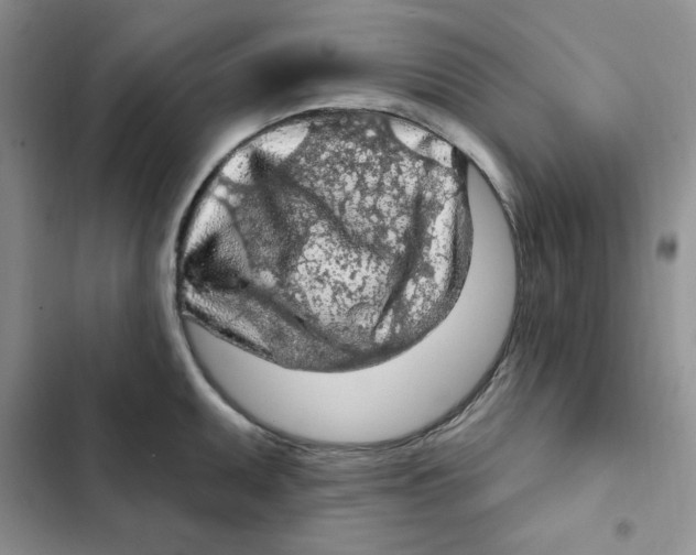 X0000102281095200808221258