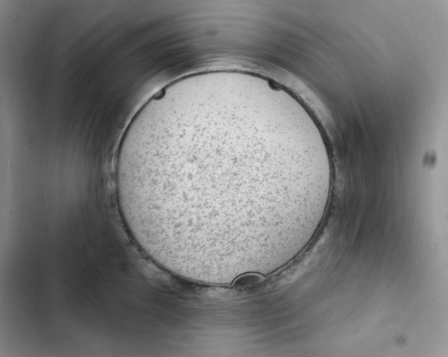 X0000102281097200808221258