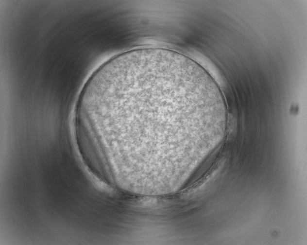 X0000102281098200808221258