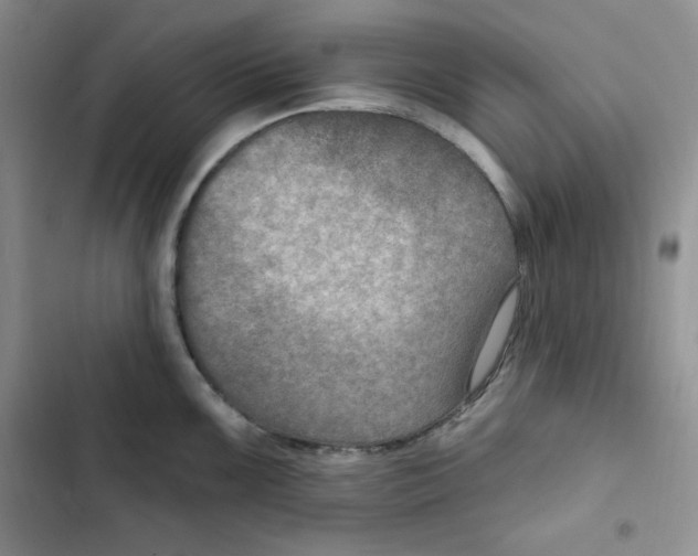 X0000102281099200808221258