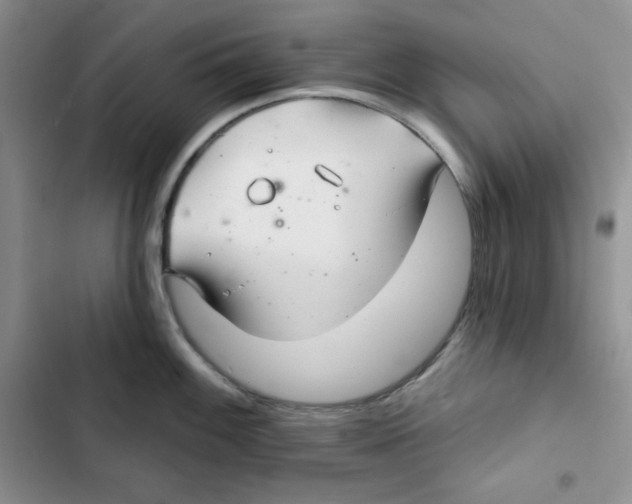 X0000102281100200808221258