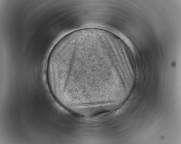X0000102281102200808221258