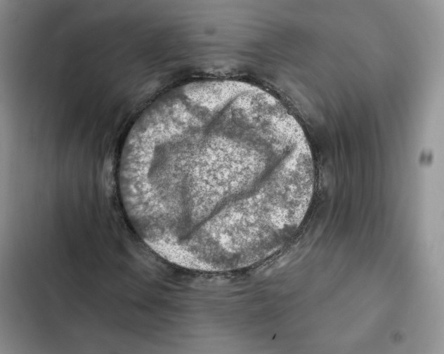 X0000102281106200808221257