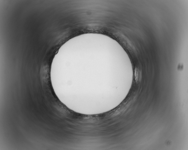 X0000102281107200808221257