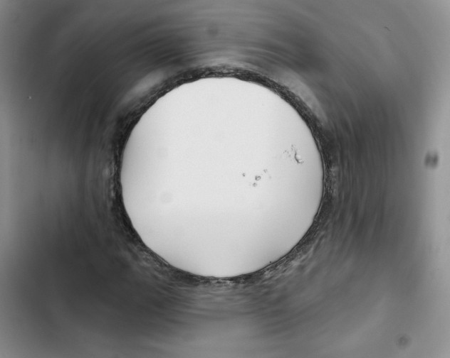 X0000102281111200808221257