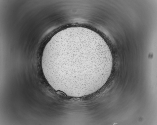 X0000102281112200808221257