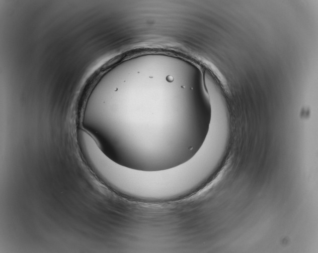 X0000102281114200808221257
