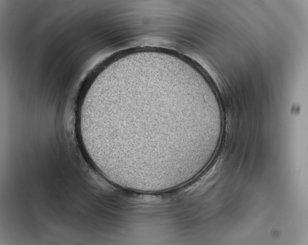 X0000102281115200808221257