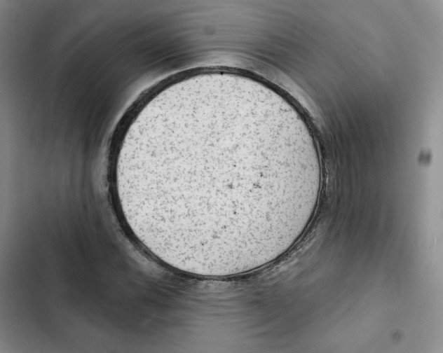 X0000102281116200808221257