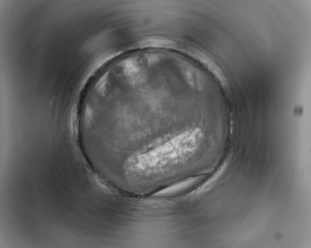 X0000102281117200808221257