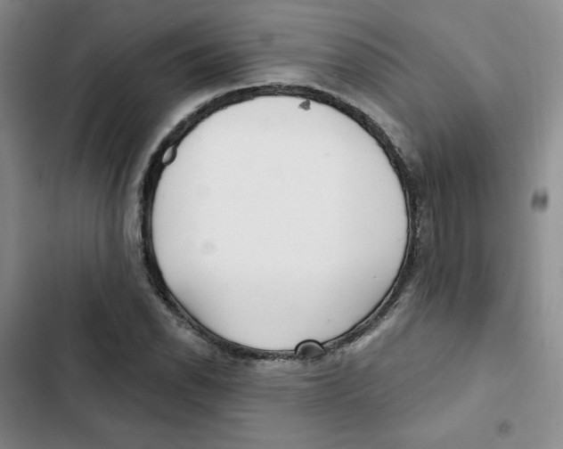 X0000102281118200808221258