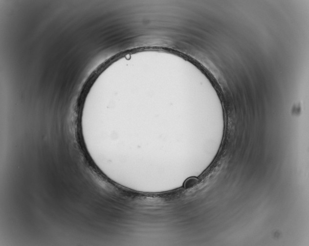 X0000102281119200808221258