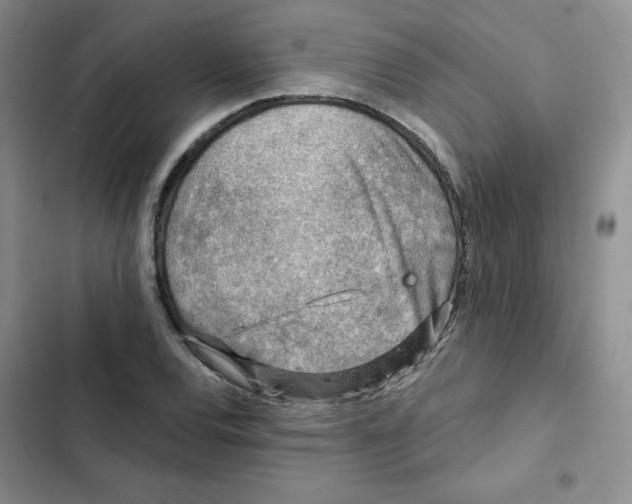 X0000102281120200808221258
