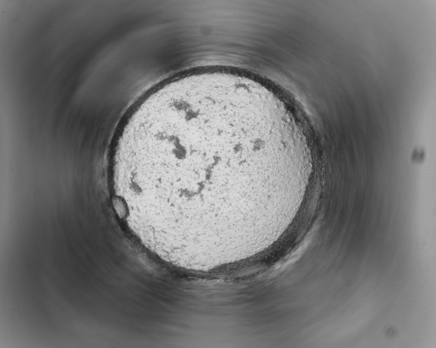 X0000102281121200808221258