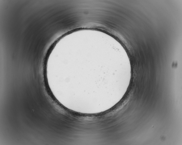 X0000102281122200808221258