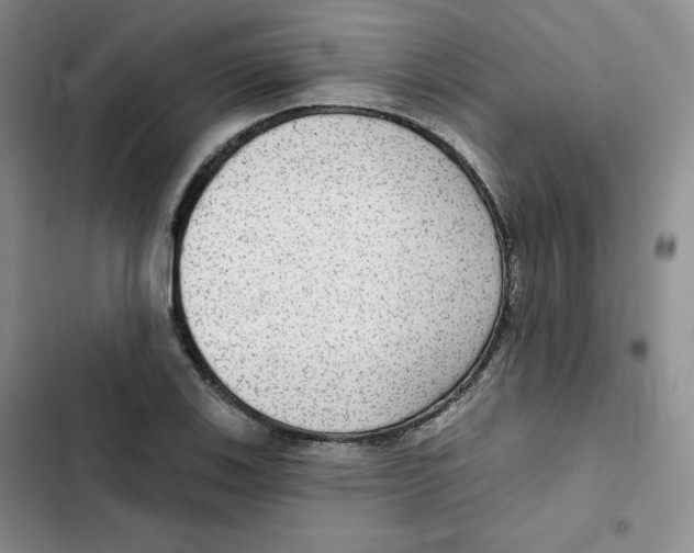 X0000102281123200808221258