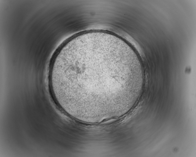 X0000102281124200808221258