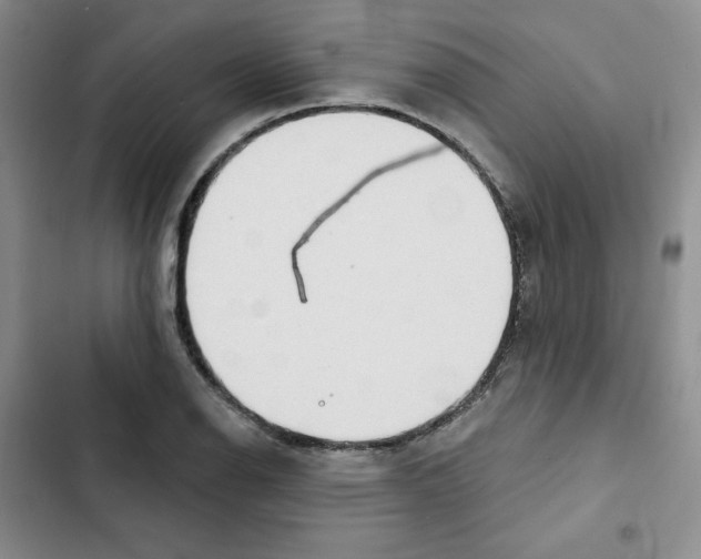 X0000102281126200808221258