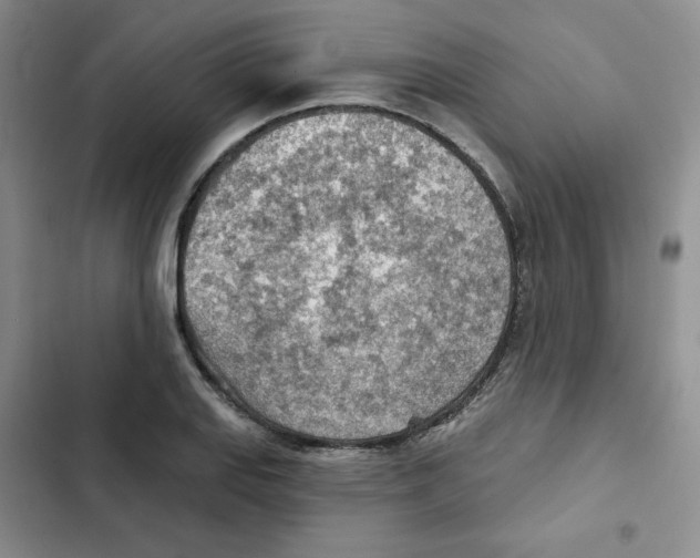 X0000102281127200808221258