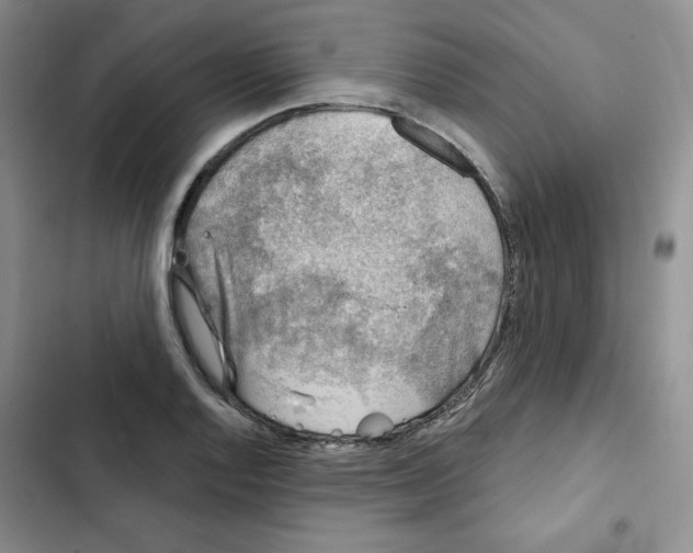 X0000102281128200808221258