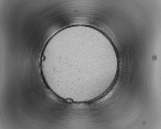 X0000102281129200808221258