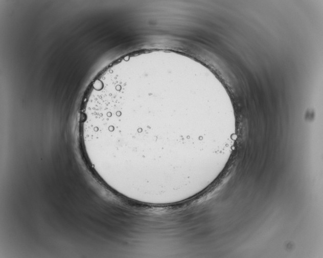 X0000102281130200808221258